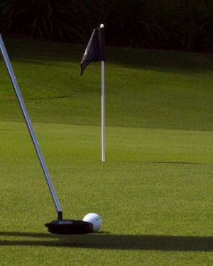 Image post by @taylormadegolf on Instagram