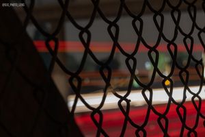 Image post by @djs_photo_lens on Instagram