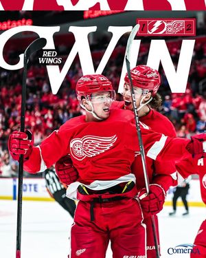 Image post by @detroitredwings on Instagram