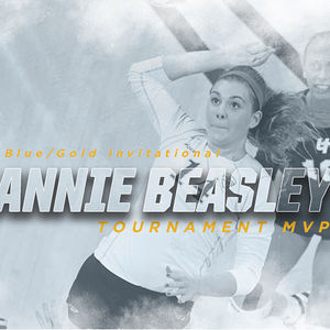 Image post by @toledo_vb on Instagram