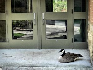 Image post by @fairfieldu on Instagram