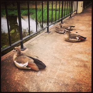 Image post by @txst on Instagram