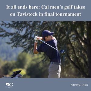 Image post by @dailycalsports on Instagram