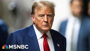 Video post by @msnbc on YouTube