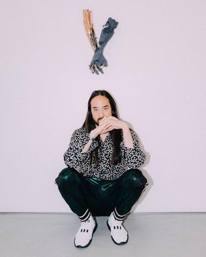 Image post by @steveaoki on Instagram