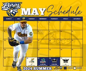 Image post by @burlington_bees on Instagram