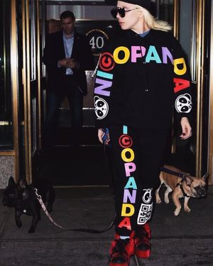 Image post by @ladygaga on Instagram