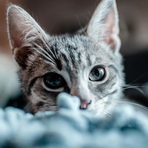 Image post by @dkleasa on Instagram