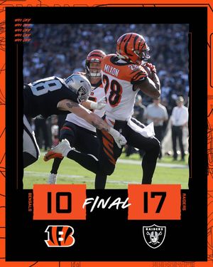 Image post by @bengals on Instagram
