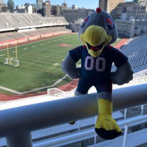 Image post by @mtlalouettes on Instagram