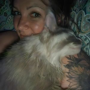 Image post by @hollysmee on Instagram