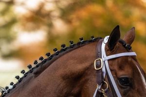 Image post by @spendthriftfarm on Instagram