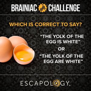 Image post by @escapologycf on Instagram