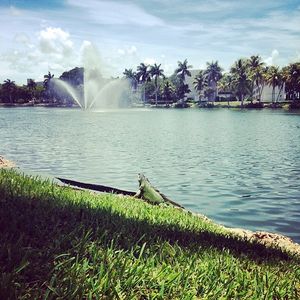 Image post by @canesfutbol on Instagram