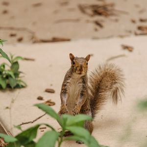 Image post by @umbclife on Instagram