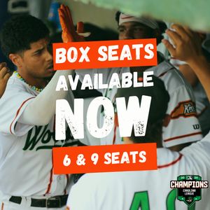 Image post by @gowoodducks on Instagram