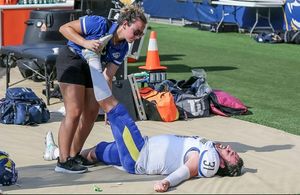 Image post by @udbluehens on Instagram