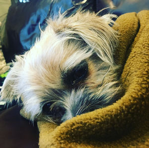 Image post by @amandakl on Instagram
