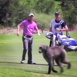 Image post by @lukedonald on Instagram