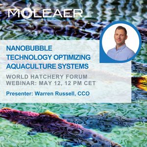 Image post by @moleaer on Instagram