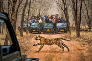 Image post by @natgeo on Instagram