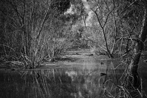 Image post by @chrissydney on Instagram