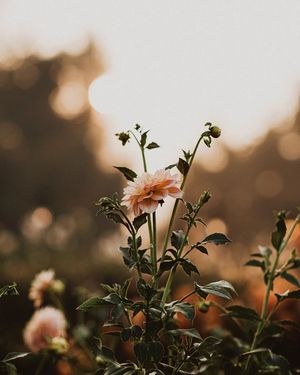 Image post by @tourismabbotsford on Instagram