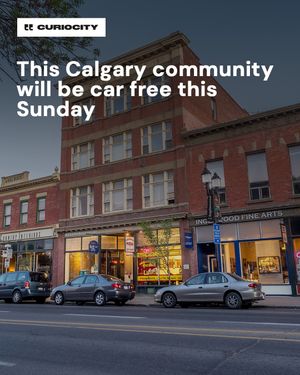 Image post by @curiocitycalgary on Instagram