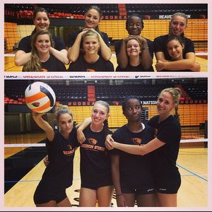Image post by @beavervball on Instagram