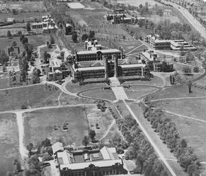 Image post by @washu on Instagram