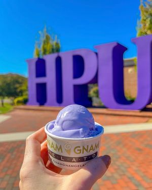 Image post by @highpointu on Instagram