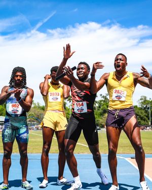 Image post by @gatorstf on Instagram
