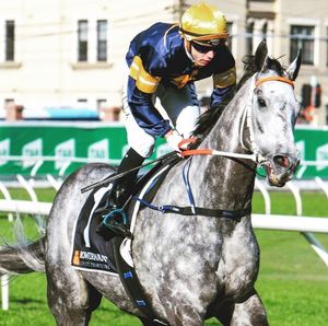 Image post by @australianturfclub on Instagram