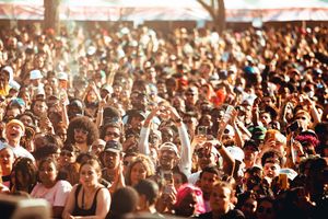 Image post by @solblume on Instagram