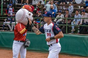 Image post by @BaseballCzech on Twitter
