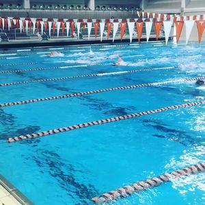 Image post by @texasmsd on Instagram