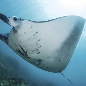 Image post by @discovery on Instagram