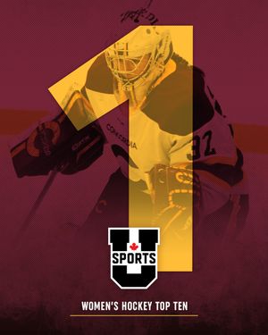 Image post by @the_stingers on Instagram