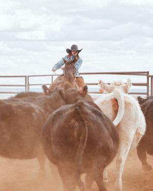 Image post by @schaeferoutfitter on Instagram