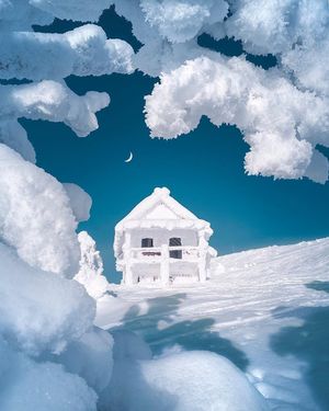 Image post by @fubiz on Instagram