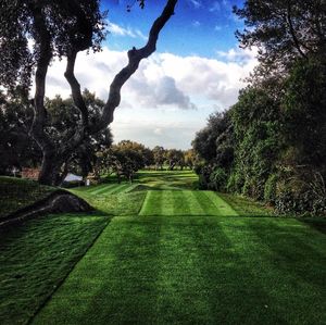 Image post by @brandonmstone on Instagram