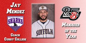 Image post by @TheNECBL on Twitter