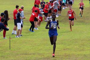 Image post by @hofstratrackxc on Instagram