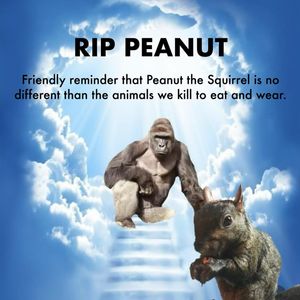 Image post by @vegandale on Instagram