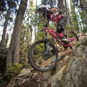 Image post by @tourismabbotsford on Instagram
