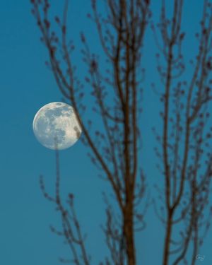 Image post by @amy.kennedy.photos on Instagram