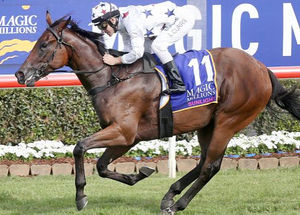 Image post by @australianturfclub on Instagram
