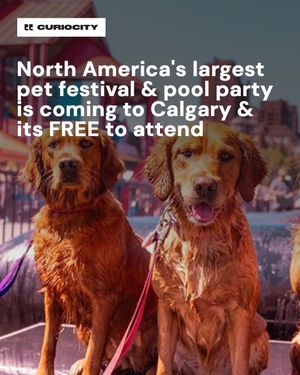 Image post by @curiocitycalgary on Instagram