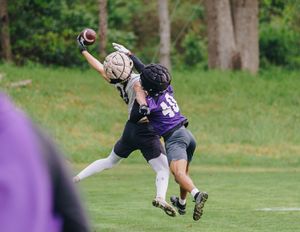 Image post by @sfa_football on Instagram
