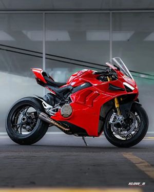 Image post by @panigalers on Instagram